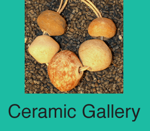 Ceramic button